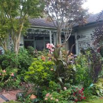 Eclectic_Front of house landscape.jpg