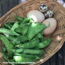 eggs and snow peas