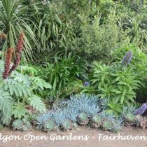 Traralgon Open Gardens Fairhaven