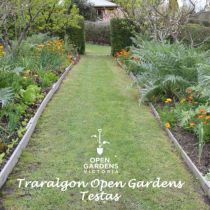 Traralgon Open Gardens Testas