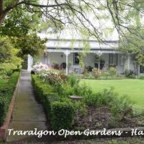 Traralgon Open Gardens Harpfield