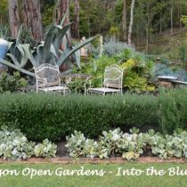 Traralgon Open Gardens Into The Blue