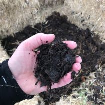 finished compost