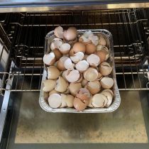 eggshells in oven
