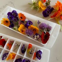 making edible flower ice cubes