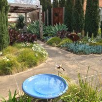  Therapy 'blue bird bath' garden