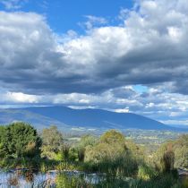 Backdrop of the Yarra Ranges