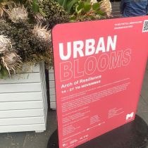 Urban blooms program