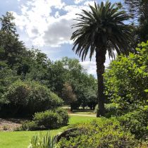Benalla Botanic Gardens - Noted landscape gardener Mr Alfred Sangwell completed them in 1887