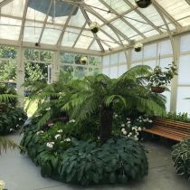 Rosalind Park, Bendigo - conservatory