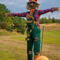 Scarecrow with green overalls