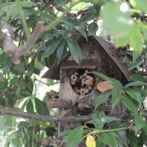 Cottage Garden bird house