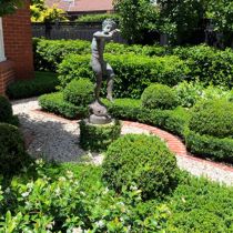 St Mervyns_Buxus and statue.jpg