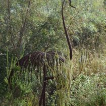 Shirley Carn's garden emu in cast iron
