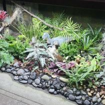 Underbench plantings at Paradisio to inspire you.