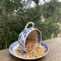 Cup and saucer bird feeder with seed