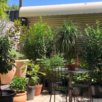 Balcony & small courtyard - submitted by Imogen Henry