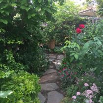 Graham garden - stepping stone path