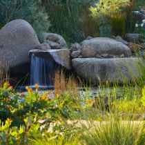 Banksia Bend -  rocks
