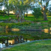 Banksia Bend - water and sculpture