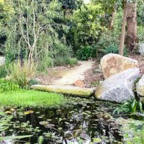 Acacia Ridge - pond and path