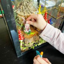Making a fairy house - finishing touches