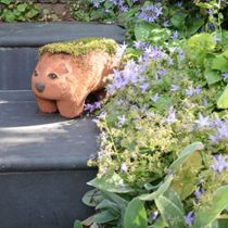 No-Time-To-Garden Garden terracotta wombat