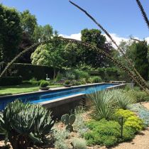Wriedt Garden pool