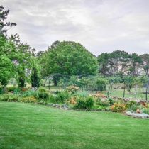Rocklands veggie garden