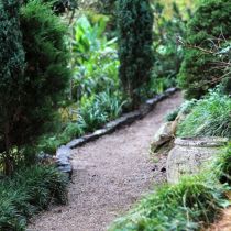 Orvieto intimate conifer pathway