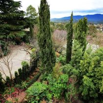 Orvieto aerial over garden and Dandenongs