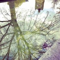 reflection of winter 