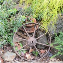 Candlebark wheel and garden bed