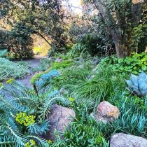 Tugurium garden textures and rock
