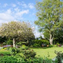 Front garden