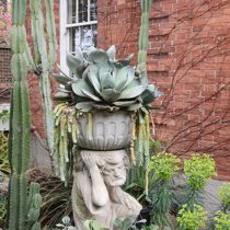 Avoca Street Garden urn and succulents
