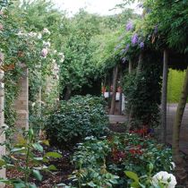 arbor and adjacent garden