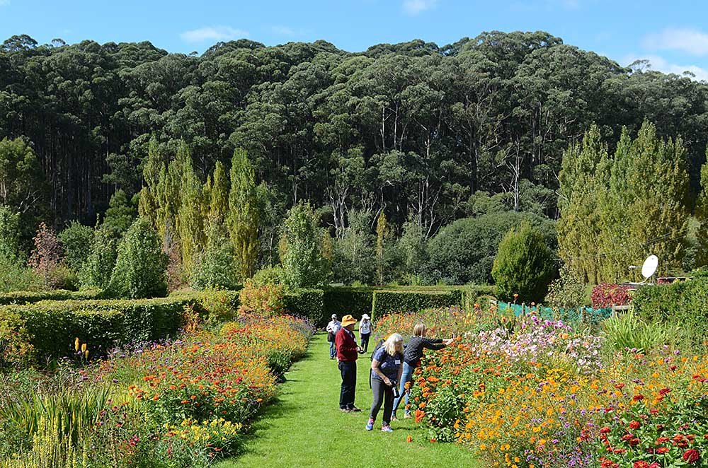 Home Open Gardens Victoria