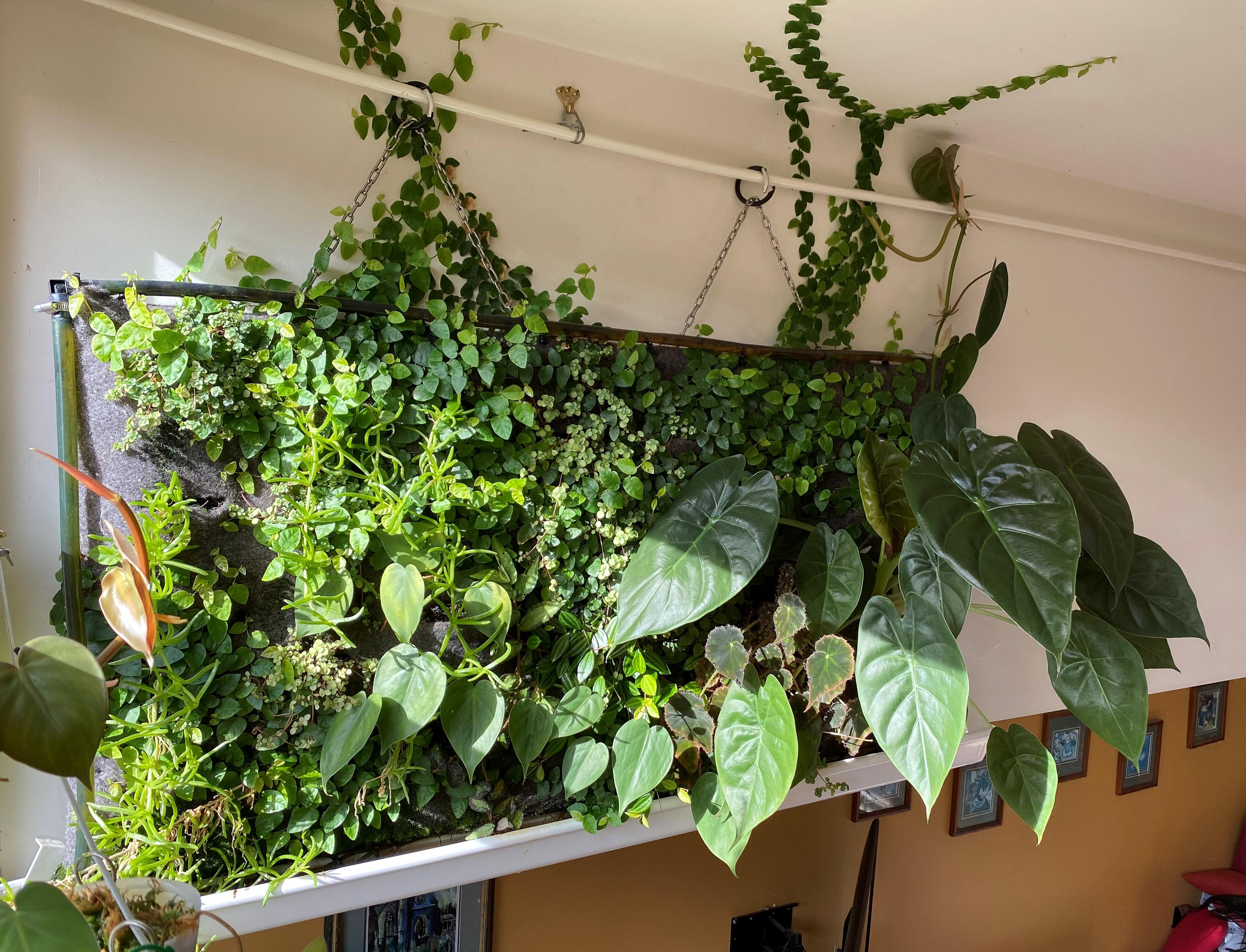 Indoor Oasis Competition – we have a winner!